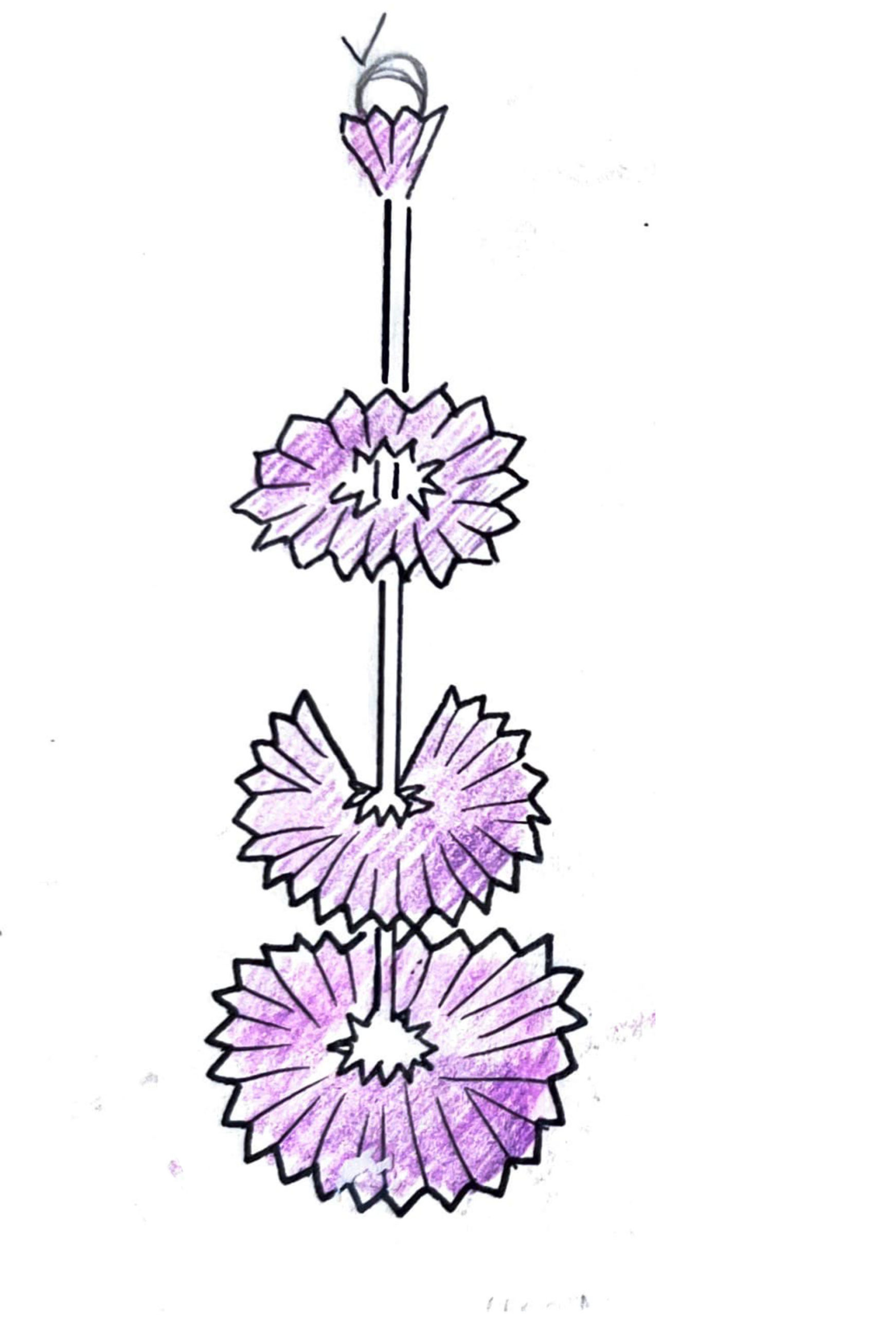 elise_croquis_01