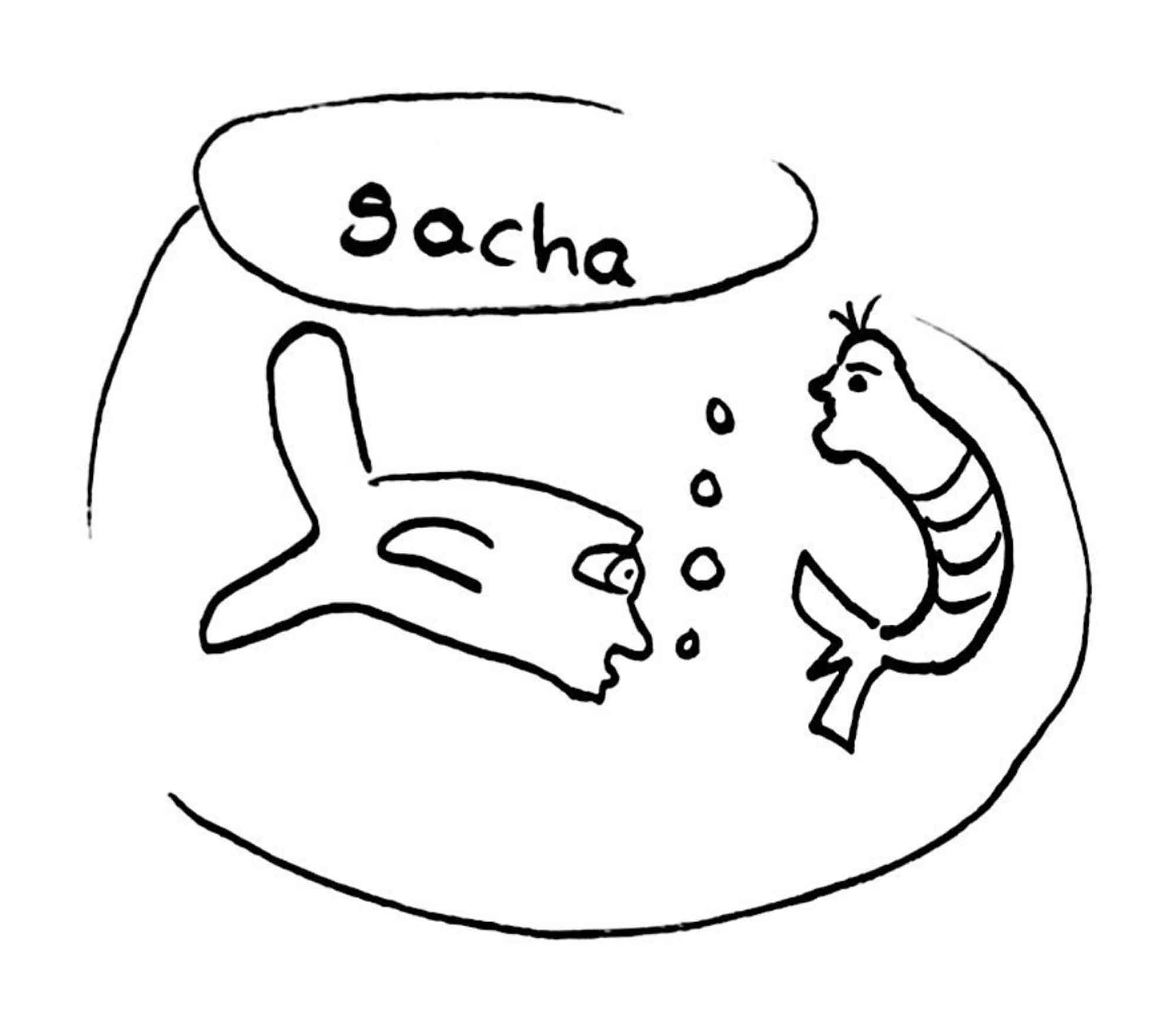 projet.sacha
