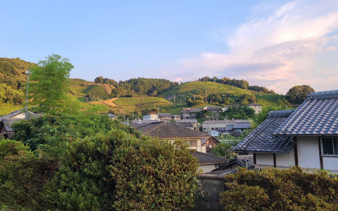 Aya Hatano, sculptrice céramiste au Japon